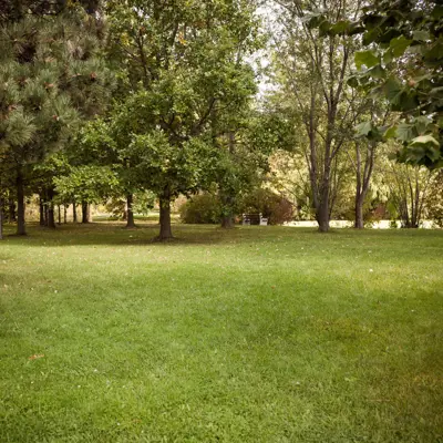 Open Greenspace In Dunnville Centennial Park