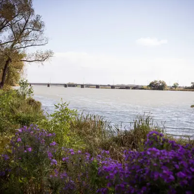 View Of Grand River From Wingfield Park