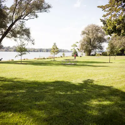 Open Greenspace At Wingfield Park