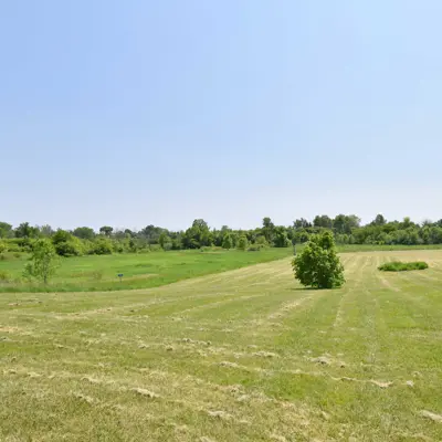 Open Greenspace In Canborough Park