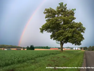 2023 3rd Place Photo - Rainbow through a stormy sky above rural farmland along a country road with a focal point tree, taken by Kim Spurr